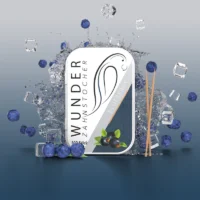 Blueberry_Slide2_NEW
